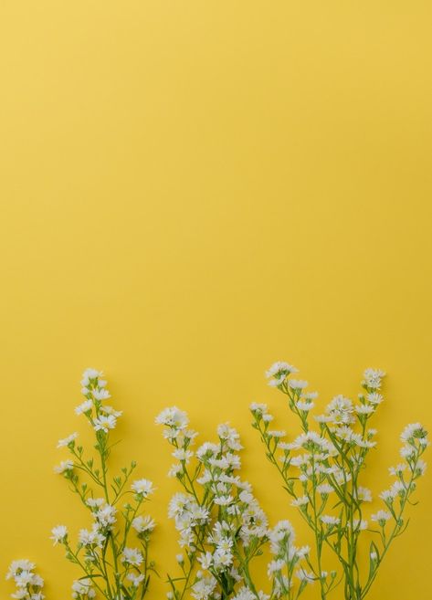 Cute little white cutter flowers on yell... | Premium Photo #Freepik #photo #background #floral #abstract #flower Yellow Aesthetic Pastel, Sunset Background, Flower Background Wallpaper, Yellow Wallpaper, Yellow Aesthetic, Photography Wallpaper, Pastel Wallpaper, Background Vintage, Cute Backgrounds