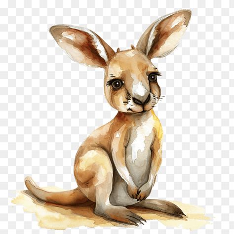 kangaroo clipart Kangaroo Clipart, Cute Watercolor Painting, Kangaroo Drawing, Kangaroo Illustration, Cute Kangaroo, Glasses Ideas, Cartoon Turtle, Big Ears, Girl With Brown Hair