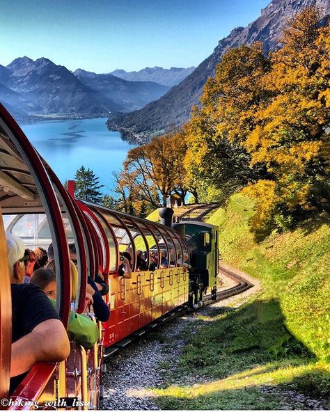 Brienz Rothorn Railway, Switzerland 🇨🇭 A stunning journey aboard the Brienz Rothorn Railway, a historic steam train that winds its way through the picturesque Swiss Alps. Passengers enjoy breathtaking views of the turquoise waters of Lake Brienz, framed by rugged mountains and vibrant autumn foliage. The open-air carriages allow travelers to fully immerse themselves in the scenic beauty of Switzerland's natural landscapes, making this one of the most memorable and scenic train rides in Europ... Europe Train, Scenic Train Rides, Scenic Beauty, Air Travel, Turquoise Water, Train Rides, Lake Como, Bel Air, Luxury Life