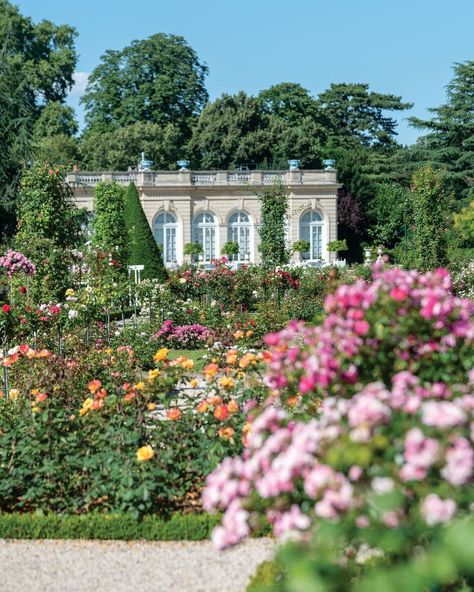 Italian Chateau, Victoria Magazine, Tuscany Travel, Tuscan Villa, Italian Villa, Dream House Rooms, French Chateau, Brother In Law, Dream House Interior