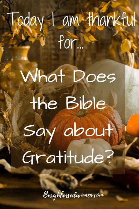 The Bible gives us many great examples of how to show our thanks and gratitude to God! #gratitude #thanksgiving #spiritualgrowth #christianencouragement #busyblessedwomen Thanksgiving Sermon, Kingdom Bloggers, Thanksgiving Devotions, Best Study Bible, Scripture Illustration, Gratitude To God, Thanksgiving Scripture, Sermon Illustrations, Small Group Bible Studies