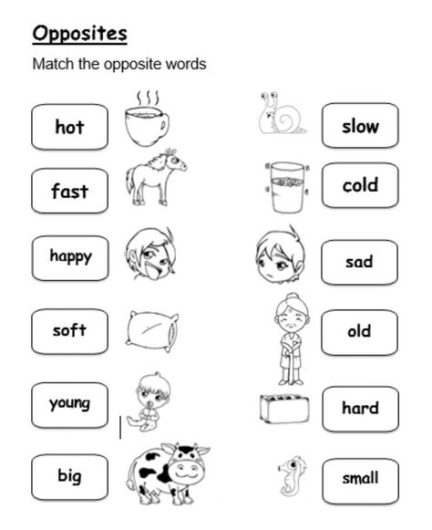 Match The Opposites Worksheet, Opposites Worksheet Grade 1, Opposite Words For Kids, Opposites For Kids, Opposites Preschool, Opposites Worksheet, Cvc Word Activities, Adjective Worksheet, English Worksheets For Kindergarten