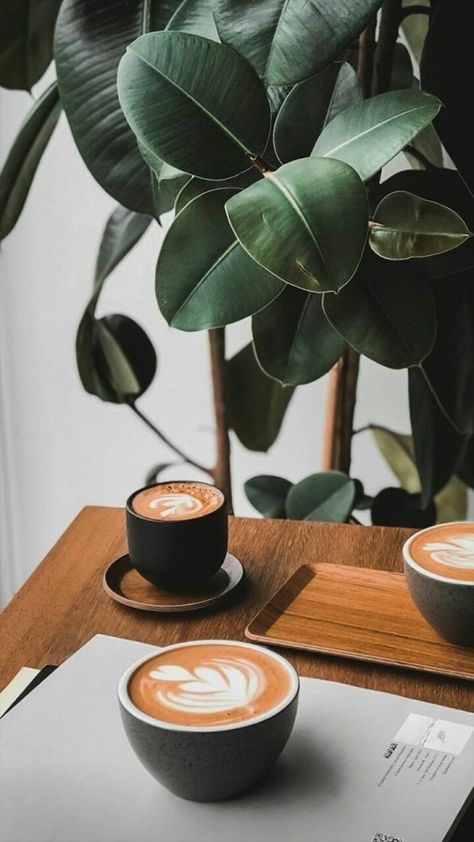 More Coffee! on Tumblr Environmental Photography, Espresso Cups Ceramic, Coffee Vs Tea, Matcha Cafe, Coffee Shop Photography, Coffee Shot, Outdoor Exploration, Photography Wildlife, Dessert Photography