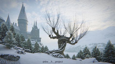 Whomping Willow, Harry Potter Voldemort, Hogwarts Christmas, Harry Potter Background, Harry Potter Illustrations, Xmas Wallpaper, Hogwarts Aesthetic, Hogwarts Castle, Harry Potter Wallpaper