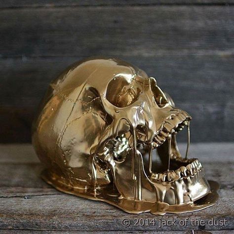 Skull Reference, Skull Collection, Skull Sculpture, Sculpture Ideas, Deco Originale, Gold Skull, Skull Artwork, Skull Decor, Drawing Stuff