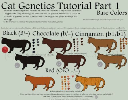 Cat Genetics Tutorial, Cat Genetics, How To Draw Cats, Draw Cats, Educational Tips, Several Cat, Cat Anatomy, Tabby Cats, 3 Cats