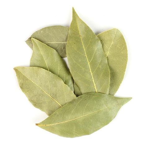 Organic Basil Leaf | Simple Bare Necessities Dishes With Beans, Sassafras Tree, Burning Bay Leaves, Laurus Nobilis, Basil Leaf, Red Vines, Compost Bags, Bay Leaf, Mediterranean Dishes