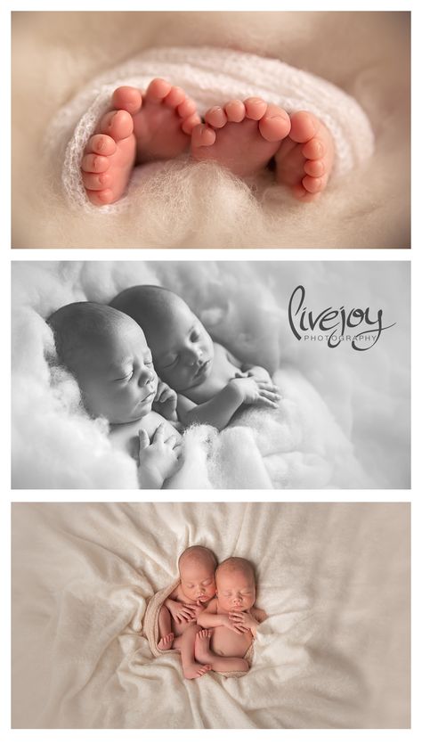 Twin boys Newborn Photography | Oregon | LiveJoy Photography Boys Newborn Photography, Twin Poses, Twin Babies Pictures, Twin Newborn Photography, Babies Photoshoot, Newborn Twin Photos, Twin Ideas, Twins Pictures, Twin Baby Photography