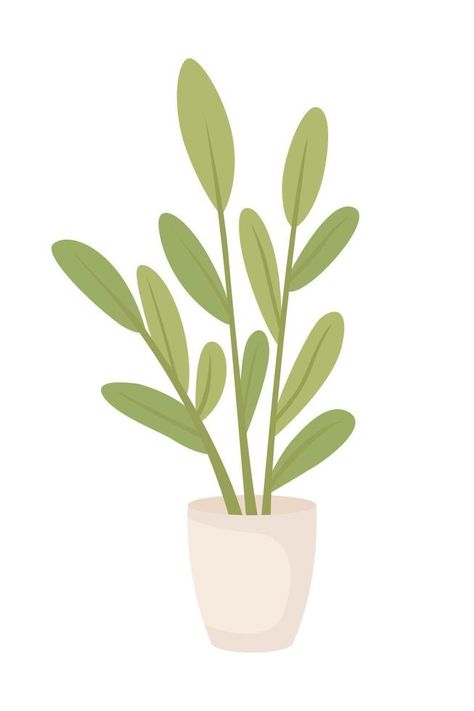 Potted plant with green leaves semi flat color vector object. Editable elements. Full sized items on white. Houseplant care simple cartoon style illustration for web graphic design and animation Plant Illustration Simple, Houseplant Care, Plant Vector, Jade Plants, Web Graphic Design, Simple Cartoon, House Plant Care, Vector Cartoon, Simple Illustration