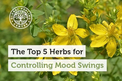 The Top 5 Herbs for Controlling Mood Swings Healing Foods, Organic Diet, Be Serious, Organic Vitamins, Types Of Cancers, Healing Food, Planting Herbs, Mood Swings, Natural Wellness