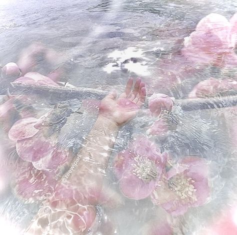 Pink Mermaid Aesthetic, No Ordinary Girl, Coconut Dream, Soft Pink Theme, Pink Ocean, Mermaid Aesthetic, Pink Mermaid, Pink Themes, Ethereal Art