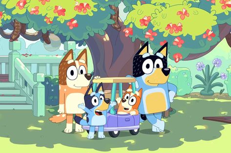 Just in time for a break from the summer heat, Bluey and the Heeler family are back with all new episodes on Disney+. Bluey Wallpaper, Wallpaper Horizontal, Blue Heeler Puppies, Kindness Projects, Heeler Puppies, Cake Table Decorations, Dog Help, Disney Shows, Kids Tv