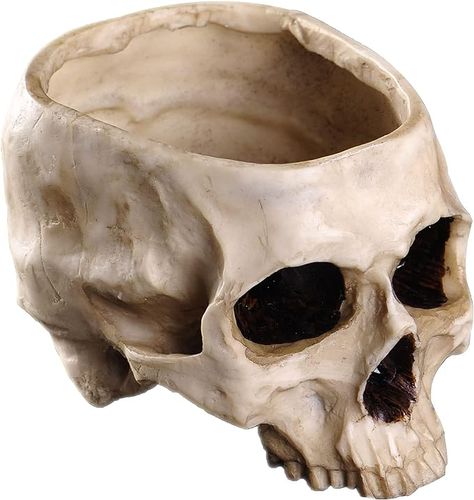 Amazon.com: IBWell Modern Large Funny Resin Skull Shaped Head Design Flower Pot Planter Container, Decoration Flowerpot Props Home Office Desk Decor (Classic) : Patio, Lawn & Garden Container Decoration, Home Office Desk Decor, Halloween Candy Bowl, Skull Planter, Skull Model, Office Table Desk, Real Skull, Resin Skull, Herb Containers