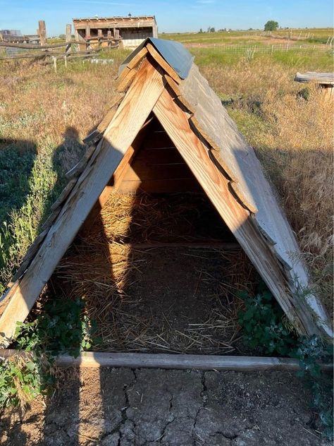 Simple A-frame shelter Diy Outdoor Animal Shelter, Goat Shelter Ideas Winter, Easy Goat Shelter, Chicken Playground, Sheep Shelter, Witchy Ideas, Chicken Shelter, Sheep House, Goat Shelter