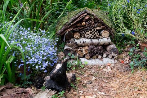 Wildlife Garden Design, Bug Hotels, Garden Creatures, Bug Hotel, Insect Hotel, Wildlife Garden, Jungle Fever, Sensory Garden, Garden Bulbs