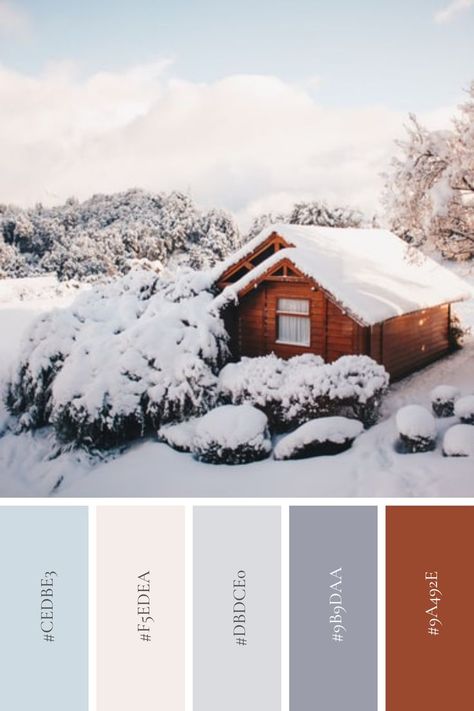 Finland Color Palette, Winter Photo Color Palette, Ski Lodge Color Palette, Vintage Winter Color Palette, Winter Colour Scheme, Winter Wonderland Color Scheme, Modern Winter Color Palette, Cozy Winter Color Palette, Winter Blue Color Palette