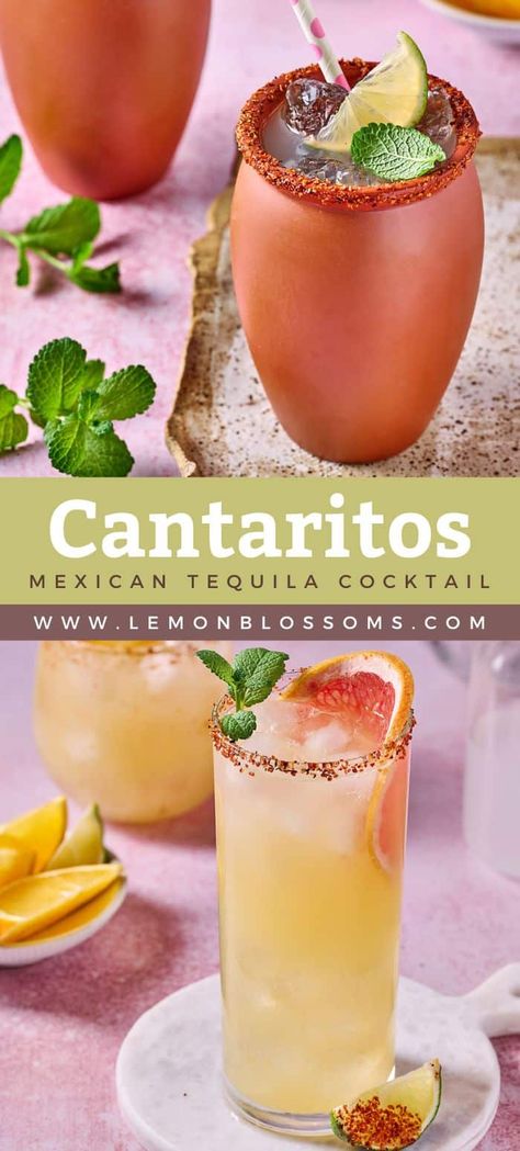 Mexican Pitcher Drinks, Citrus Tequila Cocktails, Mexico Drinks Cocktails, Spanish Drinks Alcohol, Mexican Tequila Drinks, Tajin Recipes Drink, Mexican Candy Cocktail, Mexican Inspired Cocktails, Healthy Tequila Drinks