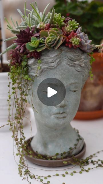 Cement Head Planters, Succulent Head Planter, Head Pots For Plants, Head Planter Ideas, Succulent Planter Ideas, Garden Answer, Succulent Garden Indoor, Garden Whimsy, Succulents Decor