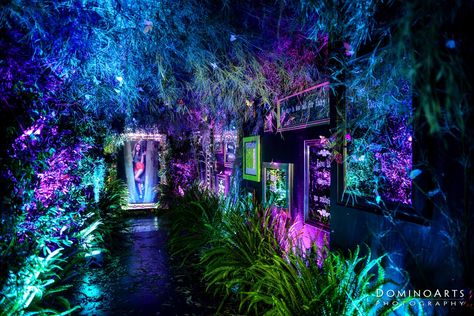 Neon Jungle, Nightclub Design, Boca Raton Florida, Theme Nature, Events Ideas, Fairy Princess, Stage Design, Girls Dream, Enchanted Forest