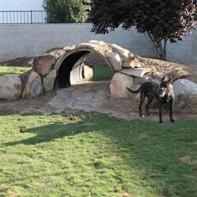 20 Creative DIY Dog Playground In The Backyard | HomeMydesign Dog Play Area, Goat Playground, Dog Friendly Backyard, Dog Backyard, Dog Yard, Dog Playground, Pet Resort, Pet Hotel, Pet Boarding