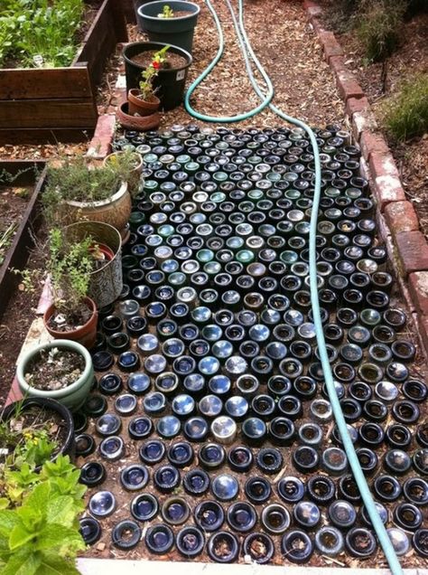 Ten clever ways to re-purpose wine bottles – The Owner-Builder Network Diy Lawn Games, Recycling Bottles, Wine Bottle Garden, Diy Pathway, Owner Builder, Bottle Trees, Diy Lawn, Bottle Ideas, Bottle Garden