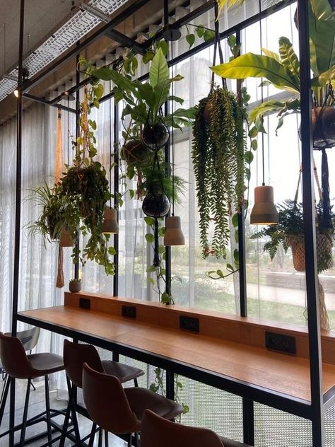 Plants In Cafe Interiors, Plant Decor Restaurant, Cafes With Plants, Plant Coffee Bar, Plant Cafe Interiors Coffee Shop, Coffee Bar With Plants, Plants Restaurant Design, Coffee Shop Window Display, Plant Cafe Interior