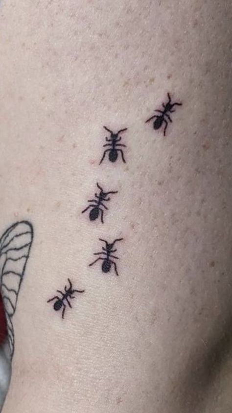 #smalltattoos #tattooideas #tattoomoodboard #tattooaesthetic Ants Tattoo, Ant Tattoo, Tattoo Cartoon, Ants, Your Aesthetic, Connect With People, Small Tattoos, Creative Energy, Tatting