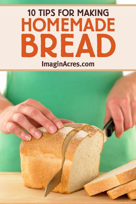 There really is nothing quite like a warm slice of fresh bread fresh out of the oven. In addition to the delicious flavor, homemade bread is also much less expensive per loaf than supermarket bread, and there are no additives or preservatives. These 10 tips will help you understand of how the ingredients work together and transform into a delicious loaf of bread. Beginner Baking Recipes, Baker Bread, Make Homemade Bread, Baking Bread At Home, Homemade Baked Bread, Baking Homemade, White Bread Recipe, Homemade Bread Recipes Easy, Homemade Bread Easy