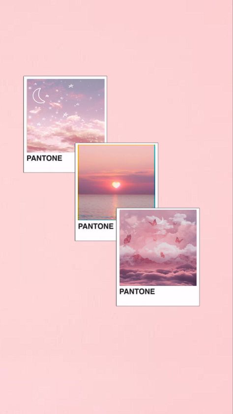 Pantone Aesthetic Wallpaper, Ocean Sunset Wallpaper, Sunset Wallpaper Aesthetic, Pantone Aesthetic, Pink Pantone, Pastel Background Wallpapers, Pink Wallpapers, Background Wallpapers, Portfolio Inspiration