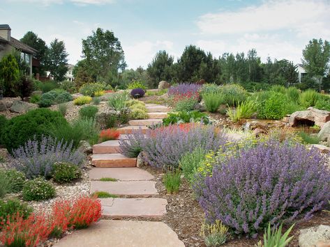 Landscaping, Landscaping Colorado, Xeriscape Garden, Xeriscape Landscaping, Grasses Landscaping, A Garden, Stepping Stones, Different Types, Nativity