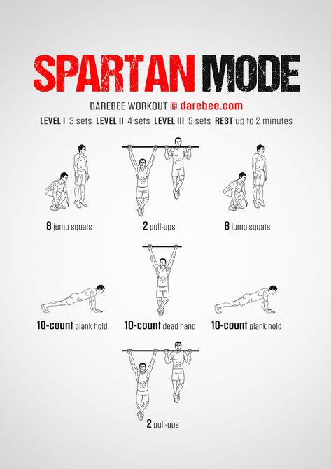 Tactical Athlete, Spartan Workout, Plank Hold, Workout Chart, Jump Squats, Strength Workout, Total Body, Pull Ups, Fitness Journey