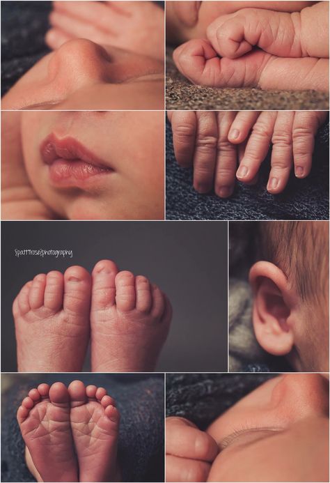 Newborn Baby Photos Idea, Diy Infant Photography, Newborn Pics Without Showing Face, Infant Detail Photos, Photo Shoot For Newborn, Baby Features Photography, Newborn Photography Must Haves, Newborn Photoshoot For Baby Boy, Private Newborn Announcement