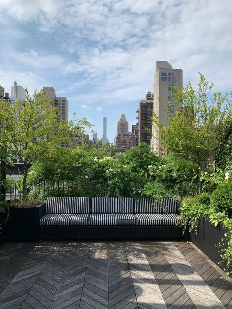 Rooftop Garden Pergola, Urban Terrace Design, Rooftop Landscape Design, Nyc Terrace, Roof Terrace Garden, Terrace Planting, Rooftop Garden Design, Balcony Landscape, Rooftop Garden Urban