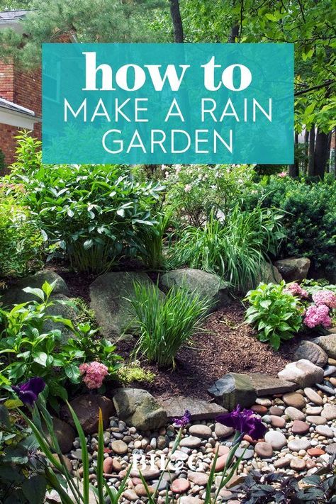 Rain Garden Plants Shade, Rain Garden Landscape, Rain Garden Design, Low Water Gardening, Garden Wallpaper, Landscaping With Large Rocks, Rock Garden Landscaping, Side Garden, Rain Garden