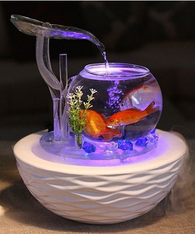 Water Terrarium, Fountain Waterfall, Fish Tank Themes, Wall Aquarium, Glass Aquarium, Fish Tank Accessories, Betta Fish Tank, Aquarium Design, Indoor Decoration