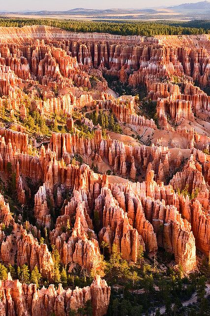 Bryce Canyon National Park, Utah Utah Travel, Bryce Canyon National Park, Bryce Canyon, The Grand Canyon, Grand Canyon National Park, Pretty Places, Places Around The World, Amazing Nature, Natural Wonders