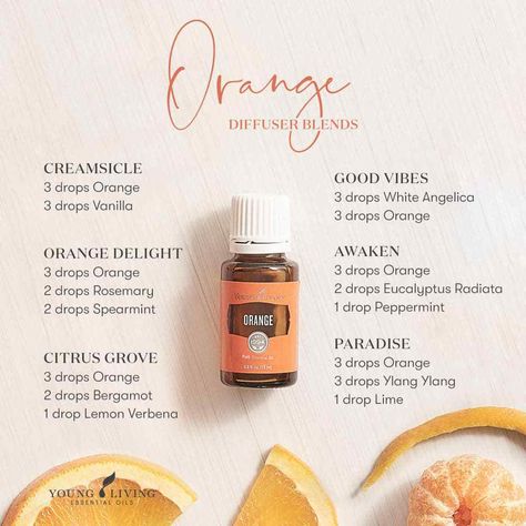 Not sure what to do with your bottle of Orange essential oil? Diffuse these sweet, citrusy, and yummy diffuser blends! Creamsicle (Orange, Vanilla); Good Vibes (White Angelica, Orange); Orange Delight (Orange, Rosemary, Spearmint); Awaken (Orange, Eucalyptus Radiata, Peppermint); Citrus Grove (Orange, Bergamot, Lemon Verbena); and Paradise (Orange, Ylang Ylang, Lime). #aromatherapy #essentialoils #diffuserblends #youngliving #yleo Orange Essential Oil Young Living, Orange Essential Oil Blends, Young Living Essential Oil Diffuser, Young Living Oils Recipes, Living Oils Recipes, Essential Oil Diffuser Blends Recipes, Young Living Essential Oils Recipes, Lime Essential Oil, Essential Oils Cleaning