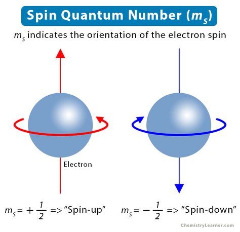 Spin Quantum Number: Definition, Significance, and Value Pauli Exclusion Principle, Periodic Table Elements, Table Elements, Number Value, Electron Configuration, Library School, Atomic Number, Study Apps, Physical Chemistry