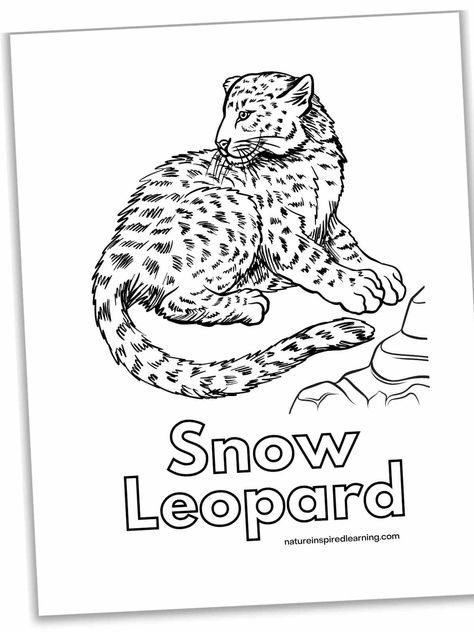 Leopard Coloring Pages, Leopard Craft, Cat Snow, Leopard Cub, Printable Pictures, Printable Coloring Sheets, Large Cats, Snow Leopard, Coloring Sheets