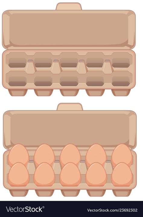 Carton Of Eggs, Egg Drawing, Egg Illustration, Mathematics Activities, Eggs Image, Egg Vector, Egg Box, Paper Tray, Egg Carton