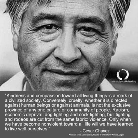 ~ courtesy César Chávez, Ⓥegan #vegan Such a courageous and honorable man! Thanks Mr. Chavez for everything you've done for human and animal rights! Cesar Chavez Poster Ideas, Cesar Chavez Quotes, Cesar Chavez Day, Quotes About Capitalism, Communism Vs Capitalism, Cesar Chavez, Vegan Memes Truths, Hispanic Heritage Month, Hispanic Heritage