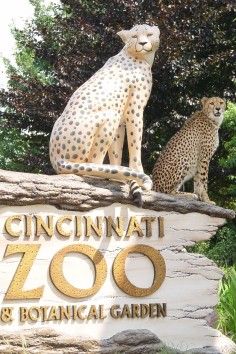 The Cincinnati Zoo & Botanical Garden is the second oldest zoo in the US and is ranked as one of the top 10 zoos in the country. Make sure you set some time aside for a visit! Decorative Magnets, Cincinnati Zoo, Ohio Travel, Empire Romain, Cincinnati Ohio, Places Of Interest, Weekend Trips, Botanical Garden, Travel Usa