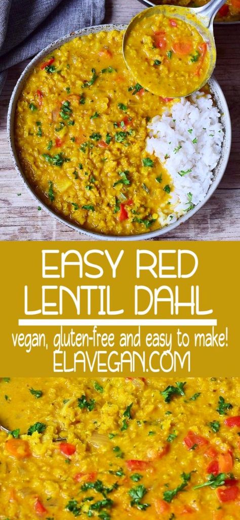 Lentil Dal Recipe, Red Lentil Dahl, Dal Curry, Red Lentil Recipes, Lentil Dahl, Dal Recipe, Vegan Curry, Lentil Recipes, Red Lentil