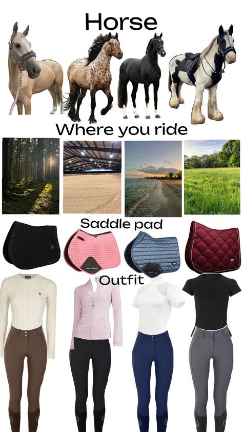 #englishriding #outfit #equestrian #equestrianfashion #horses #horsegirl Equestrian Aesthetic Outfit, English Horse Riding Outfits, Winter Riding Outfits, Horse Riding Outfit Casual, Reit Outfits, Horse Riding Outfits, Horse Riding Outfit Women, Cute Horse Riding Outfits, Horse Clothes