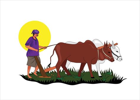 Cute Cow Photos, Farmer Logo Design Ideas, Farmers Aesthetic, Indian Drawing, Banner Png, Cow Photos, Banner Background Hd, Photos Of Lord Shiva, Acoustic Music