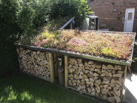 Green Roof Planting, Green Roof Benefits, Eco Roof, Roof Plants, Log Shed, Sedum Roof, Green Roof System, Hay Barn, Log Store