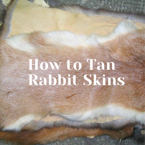 Deer Pelt Ideas, Tanning Animal Hides, What To Do With Rabbit Pelts, Tanning Rabbit Hides, Rabbit Pelt Projects, Rabbit Fur Diy, Tanning Deer Hide, Tanning Hides, Raising Rabbits For Meat