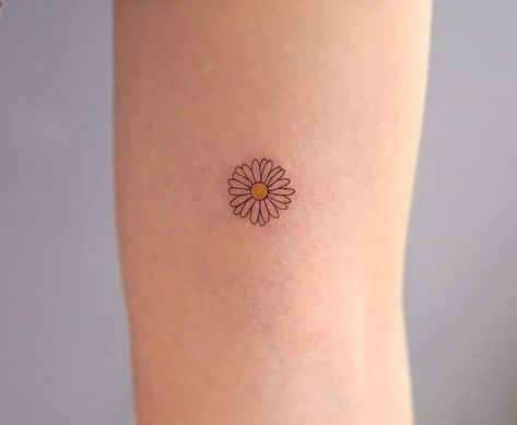 Colourful Daisy Tattoo, Daisy Tattoo On Leg, Small Tattoos Daisy Flower, Daisy Tattoo Dainty, Coloured Daisy Tattoo, Marguerite Daisy Tattoo, Micro Daisy Tattoo, Daisy Small Tattoo, Daisy Paw Print Tattoo