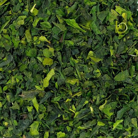 Meet the first tea to crown our Mizuba Heritage loose Leaf Japanese Tea Collection: Tencha 碾茶!   Theres #nofilter on these beautiful leaves!  Naturally as matcha purveyors we hold a high regard for this rare tea. Tencha is the term for leaves that have been properly shade-grown for 20-30 days allowing the leaves to concentrate ample amounts of the sweet amino acid L-theanine - the hallmark of a delicious matcha.   Rarely enjoyed as a steeped tea tencha's main purpose is to be milled into the fin Beautiful Leaves, Japanese Matcha, Green Queen, Steeped Tea, Tea Powder, Matcha Green, Amino Acid, Matcha Tea, Matcha Green Tea