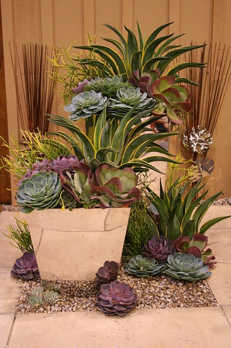 Succulent Garden Design, Succulent Landscaping, Succulent Gardening, Desert Garden, Succulents In Containers, Garden Containers, Succulent Arrangements, Cactus Y Suculentas, Cactus Garden